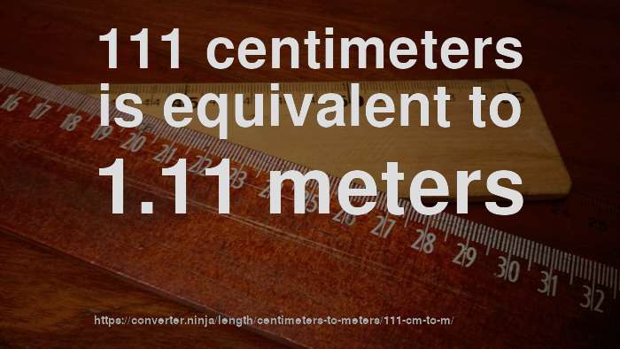 Centimeters meters units definition