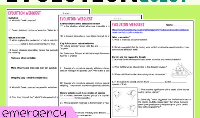 Evidence of evolution webquest answer key