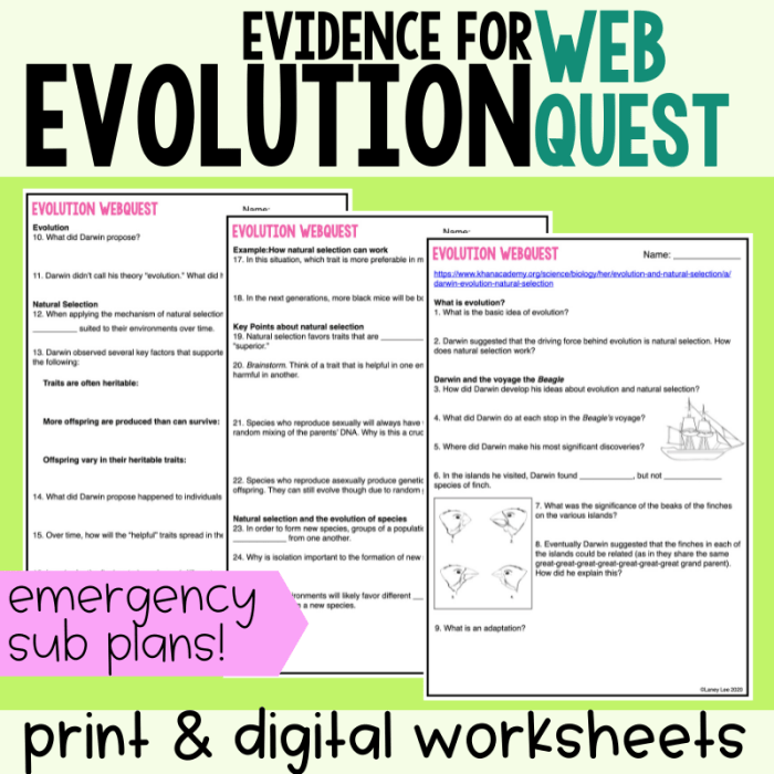 Evidence of evolution webquest answer key