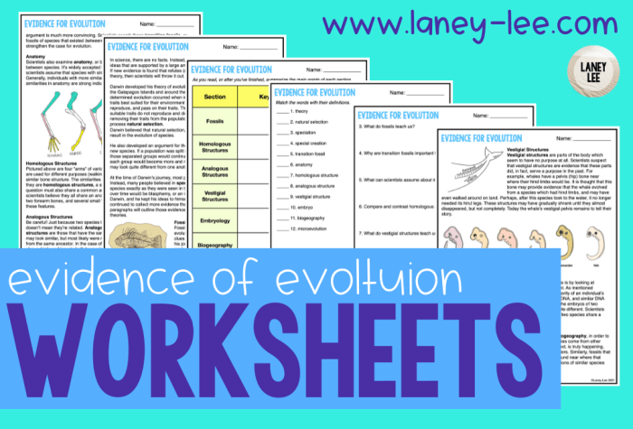 Evidence of evolution webquest answer key