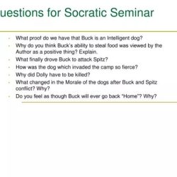 Socratic seminar questions for the crucible