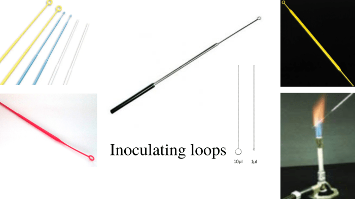 Loops needles inoculating spreaders microbiology specimen disposable copan tools