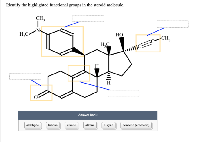 Identify the highlighted functional groups in the steroid molecule
